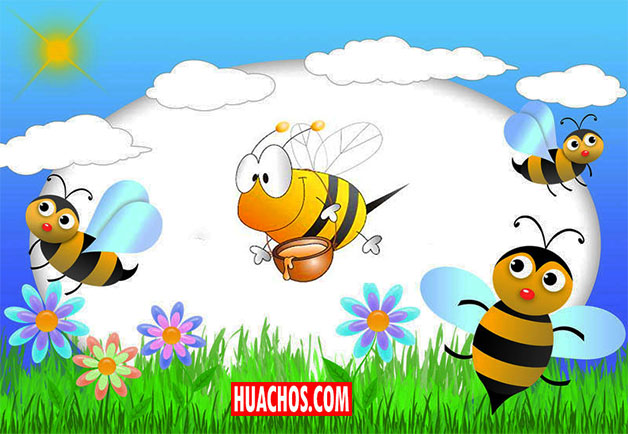 9 cosas que quizá no sabías de las abejas... y 5 que puedes hacer para  protegerlas | VIDEO