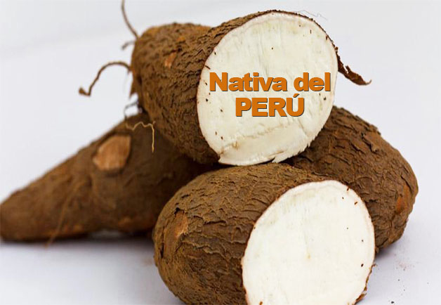 la-fabulosa-yuca-ideal-para-ninos-en-crecimiento-y-adolescentes-en-desarrollo