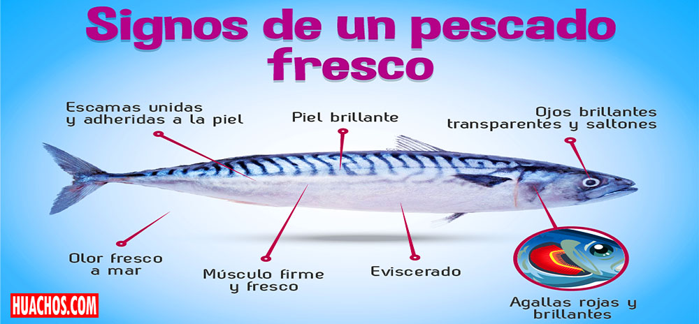 CÓMO RECONOCER EL PESCADO FRESCO - Aprobal