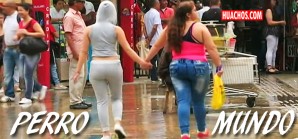 La feria de las vírgenes en la ciudad de Medellin, Colombia - VIDEO La feria de las vírgenes en la ciudad de Medellin, Colombia - VIDEO