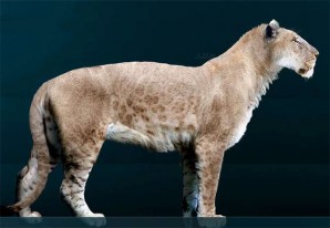 Sensacional hallazgo: Dos cachorros de león cavernario de 10.000 años de antigüedad Sensacional hallazgo: Dos cachorros de león cavernario de 10.000 años de antigüedad