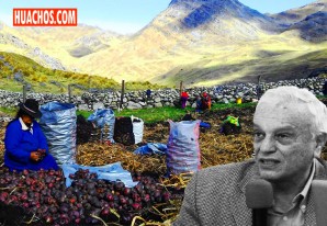 Sobre las altas y las bajas de los precios de la papa al consumidor Sobre las altas y las bajas de los precios de la papa al consumidor