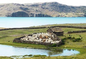 La invalorable labor comunal para conservar los bofedales en Huancavelica La invalorable labor comunal para conservar los bofedales en Huancavelica