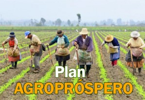 Minagri lanza ambicioso programa estratégico AGROPRÓSPERO Minagri lanza ambicioso programa estratégico AGROPRÓSPERO