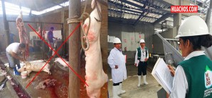 Chincha cuenta con primer matadero de bovinos y porcinos autorizado por Senasa Chincha cuenta con primer matadero de bovinos y porcinos autorizado por Senasa