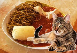 Los cañetanos, como los chilenos, quieren apoderarse de lo que no es de ellos - VIDEO Los cañetanos, como los chilenos, quieren apoderarse de lo que no es de ellos - VIDEO