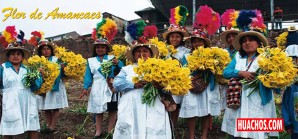 La Fiesta de la Flor de Amancaes cada 24 de junio - Huarochiri | VIDEO La Fiesta de la Flor de Amancaes cada 24 de junio - Huarochiri | VIDEO
