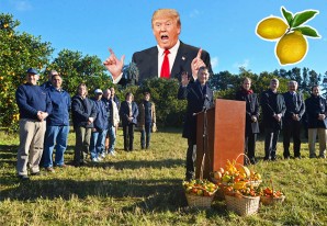 Argentina es el primer país de America Latina que prueba el remedio de Donald Trump Argentina es el primer país de America Latina que prueba el remedio de Donald Trump