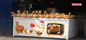 El pollo es el rey de la dieta huancavelicana, la carne de res solo lo miran en la TV El pollo es el rey de la dieta huancavelicana, la carne de res solo lo miran en la TV