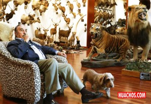 El mayor museo de caza del mundo: 420 especies tiroteadas por un solo hombre El mayor museo de caza del mundo: 420 especies tiroteadas por un solo hombre