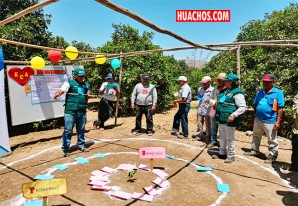 Pequeños productores analizan la situación para mejorar los cultivos de naranja Pequeños productores analizan la situación para mejorar los cultivos de naranja