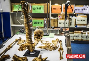 ¿Qué pasa cuándo hay cadáveres no identificados? | VIDEO ¿Qué pasa cuándo hay cadáveres no identificados? | VIDEO