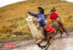 Niños jinetes desafían la altura en "Llamingada" para defender humedales | VIDEO Niños jinetes desafían la altura en "Llamingada" para defender humedales | VIDEO