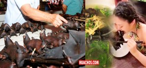 China: Por fin ponen un poco de moderación en una vieja costumbre gastronómica China: Por fin ponen un poco de moderación en una vieja costumbre gastronómica