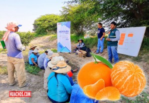 Senasa y productores de mandarinas optimizan plan para la exportación Senasa y productores de mandarinas optimizan plan para la exportación