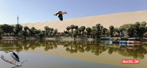 ¡Albricias! esto no se veía en La Huacachina después de hace décadas ¡Albricias! esto no se veía en La Huacachina después de hace décadas