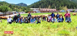 Pastos neozelandeses mejoran alimentación e incrementan producción de leche en Cajamarca Pastos neozelandeses mejoran alimentación e incrementan producción de leche en Cajamarca