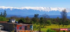 India: Este paisaje no se veía desde después de la segunda guerra mundial India: Este paisaje no se veía desde después de la segunda guerra mundial