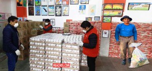 Mega operativo de control a municipalidades por entrega de las "canastas de víveres" Mega operativo de control a municipalidades por entrega de las "canastas de víveres"