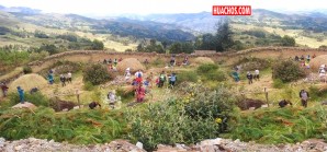 Cuarentena: Se trabaja con lo que hay y según las costumbres ancestrales | VIDEO Cuarentena: Se trabaja con lo que hay y según las costumbres ancestrales | VIDEO