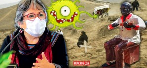 Recomendaciones ad-hoc de la ministra de Cultura para cierta raza de peruanos Recomendaciones ad-hoc de la ministra de Cultura para cierta raza de peruanos