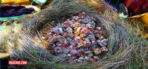 El impresionante Tocosh, la harina de papa "que todo lo puede" | VIDEO El impresionante Tocosh, la harina de papa "que todo lo puede" | VIDEO