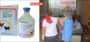 Evangélicos inyectan medicamento veterinario a miles de personas para la covid-19 Evangélicos inyectan medicamento veterinario a miles de personas para la covid-19