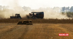 Estudio considera viable reducir a mitad las tierras agrícolas sin mermar la producción de alimentos Estudio considera viable reducir a mitad las tierras agrícolas sin mermar la producción de alimentos