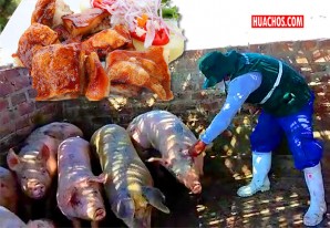 Tranquilo todos, se puede comer con confianza los chicharrones en todo Ica Tranquilo todos, se puede comer con confianza los chicharrones en todo Ica