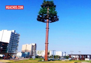 Antenas “tipo árbol” garantizan una buena comunicación y son amigables con el paisaje Antenas “tipo árbol” garantizan una buena comunicación y son amigables con el paisaje