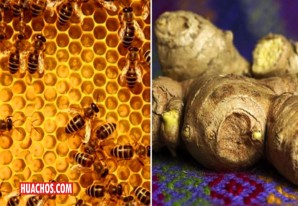 Miel con kión: en Ica trabajan un novedoso producto para vender en sachet Miel con kión: en Ica trabajan un novedoso producto para vender en sachet