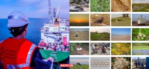 Una decisión en la buena dirección para proteger los tesoros naturales del Perú Una decisión en la buena dirección para proteger los tesoros naturales del Perú