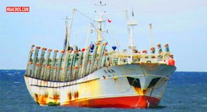 Perú: ¿qué impidió la inspección de un barco chino con antecedentes de pesca ilegal? Perú: ¿qué impidió la inspección de un barco chino con antecedentes de pesca ilegal?