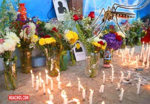 Advierten que floreros con agua por el 'Día de los Muertos' provoca proliferación de zancudos Advierten que floreros con agua por el 'Día de los Muertos' provoca proliferación de zancudos