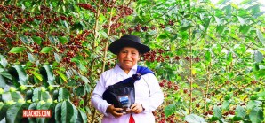 Café de Cusco logró record de precio por libra para café peruano en subasta internacional Café de Cusco logró record de precio por libra para café peruano en subasta internacional