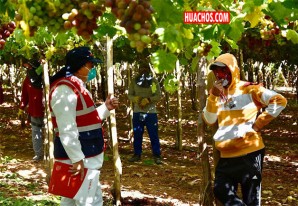 SUNAFIL reforzará su acción fiscalizadora contra la informalidad laboral en Ica SUNAFIL reforzará su acción fiscalizadora contra la informalidad laboral en Ica