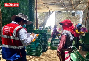 Inspectores de la SUNAFIL ya se encuentran fiscalizando empresas agroindustriales de Ica Inspectores de la SUNAFIL ya se encuentran fiscalizando empresas agroindustriales de Ica