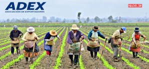 Ricos agroexportadores emiten comunicado sobre nueva Ley de Promoción Agraria Ricos agroexportadores emiten comunicado sobre nueva Ley de Promoción Agraria