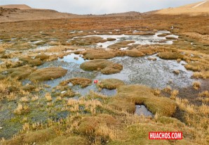 Toma en cuenta las ocho razones para cuidar los humedales | VIDEO Toma en cuenta las ocho razones para cuidar los humedales | VIDEO