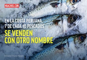 Alerta por venta de pescados con nombres fraudulentos - VIDEO Alerta por venta de pescados con nombres fraudulentos - VIDEO