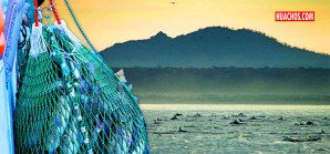 Peligra la creación de la Reserva Nacional Dorsal de Nasca | VIDEO Peligra la creación de la Reserva Nacional Dorsal de Nasca | VIDEO