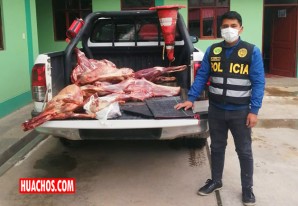 Fuerzas del orden decomisan carne de alpaca infectada de triquina Fuerzas del orden decomisan carne de alpaca infectada de triquina