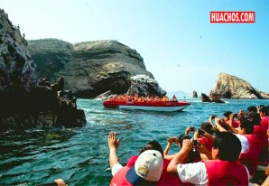 Reserva Nacional de Paracas, Islas Ballestas y Punta San Juan con aforo reducido Reserva Nacional de Paracas, Islas Ballestas y Punta San Juan con aforo reducido