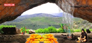 Hace 8,000 años a.C. los peruanos ya comían los fabulosos ajíes Hace 8,000 años a.C. los peruanos ya comían los fabulosos ajíes