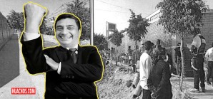 Centro de Vacunación de Ica contra la Covid-19 trata como "ganao" a la población Centro de Vacunación de Ica contra la Covid-19 trata como "ganao" a la población