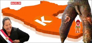 La Sra. K le prepara una tremenda yuca-sorpresa a los peruanos cuando llegue al poder La Sra. K le prepara una tremenda yuca-sorpresa a los peruanos cuando llegue al poder