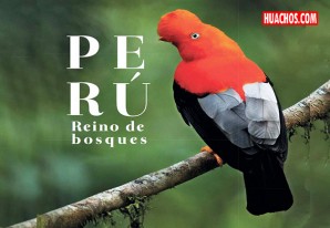 Minam publica el libro enciclopédico “Perú Reino de Bosques” Minam publica el libro enciclopédico “Perú Reino de Bosques”