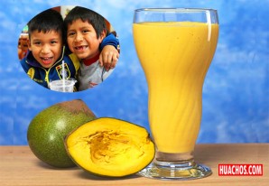 Distribuyen harina de lúcuma para brindar energía a niñas y niños escolares de Moquegua Distribuyen harina de lúcuma para brindar energía a niñas y niños escolares de Moquegua