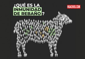 El fenómeno de la inmunidad de rebaño | VIDEO El fenómeno de la inmunidad de rebaño | VIDEO