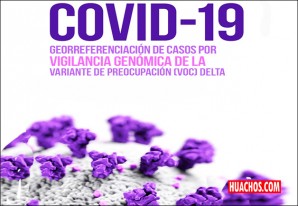 INS advierte que casos de variantes delta y gamma empiezan a subir INS advierte que casos de variantes delta y gamma empiezan a subir